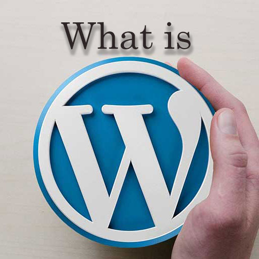 What is WordPress? Your guide to the best CMS