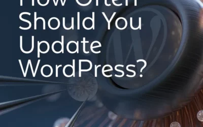 How Often to Update WordPress
